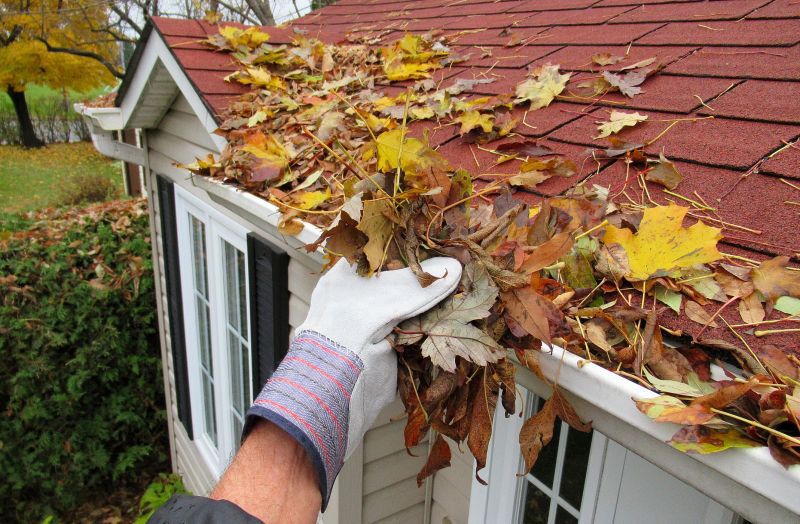 Clean Gutter After Fall